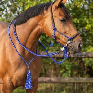 Licol corde combi Liberty Bleu – Équitation éthologique & sans mors