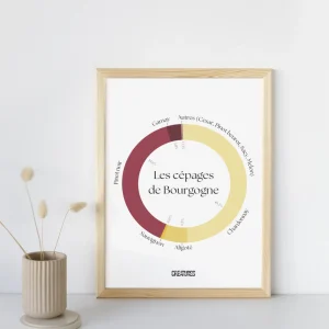 Affiche A4 « Les cépages de Bourgogne »