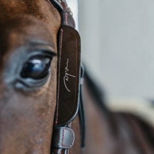 Montants Focus – Dyon