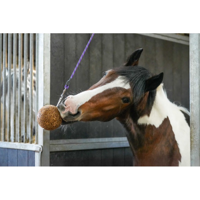 Aliment complémentaire Stall Ball Allégé – LIKIT – Image 4