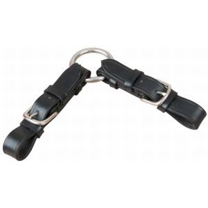 Alliance de mors à anneau – TdeT