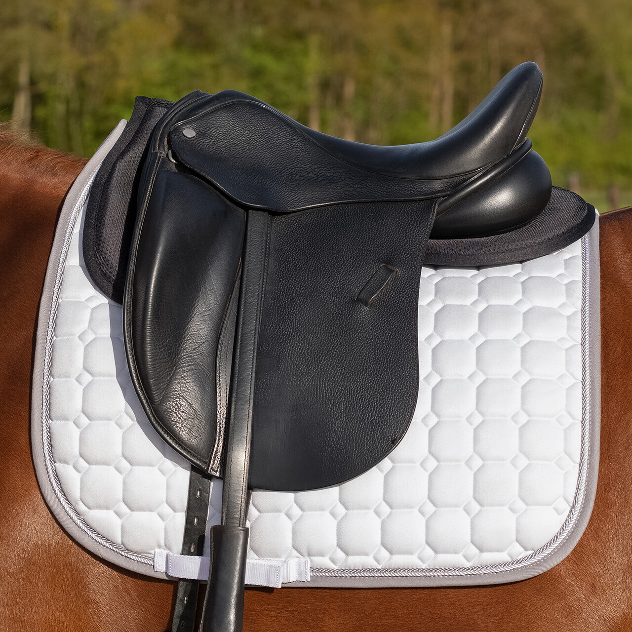 Amortisseur Air Mesh – QHP – Image 7