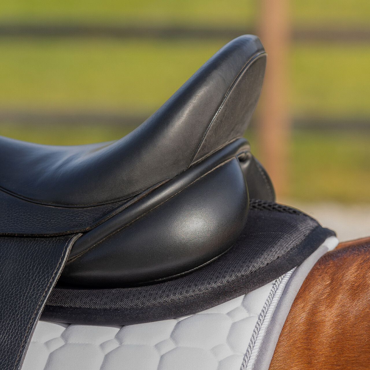 Amortisseur Air Mesh – QHP – Image 9