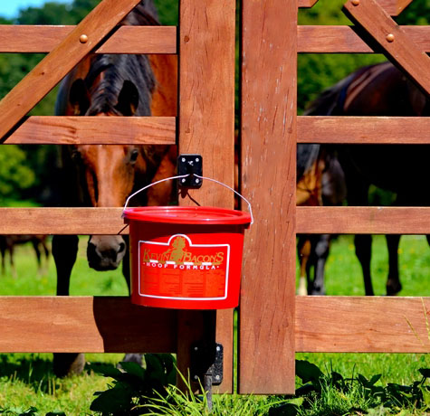 Aliment complémentaire cheval vitaminé granulés 5 kg Hoof Formula – Kevin Bacon’s – Image 3