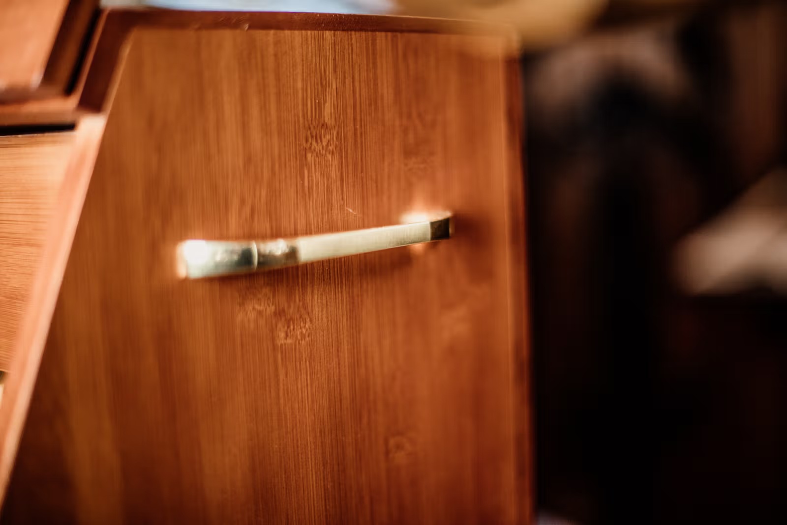 Boite de pansage Show – Kentucky – Image 3