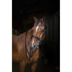 Bride de dressage – Eric Thomas – Hybrid