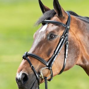 Bridon Anatomic Noir – 3 tailles