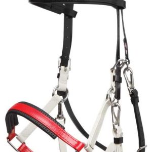 Bridon Licol Marathon Tricolore Zilco