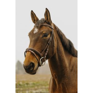 Bridon Strass Norton