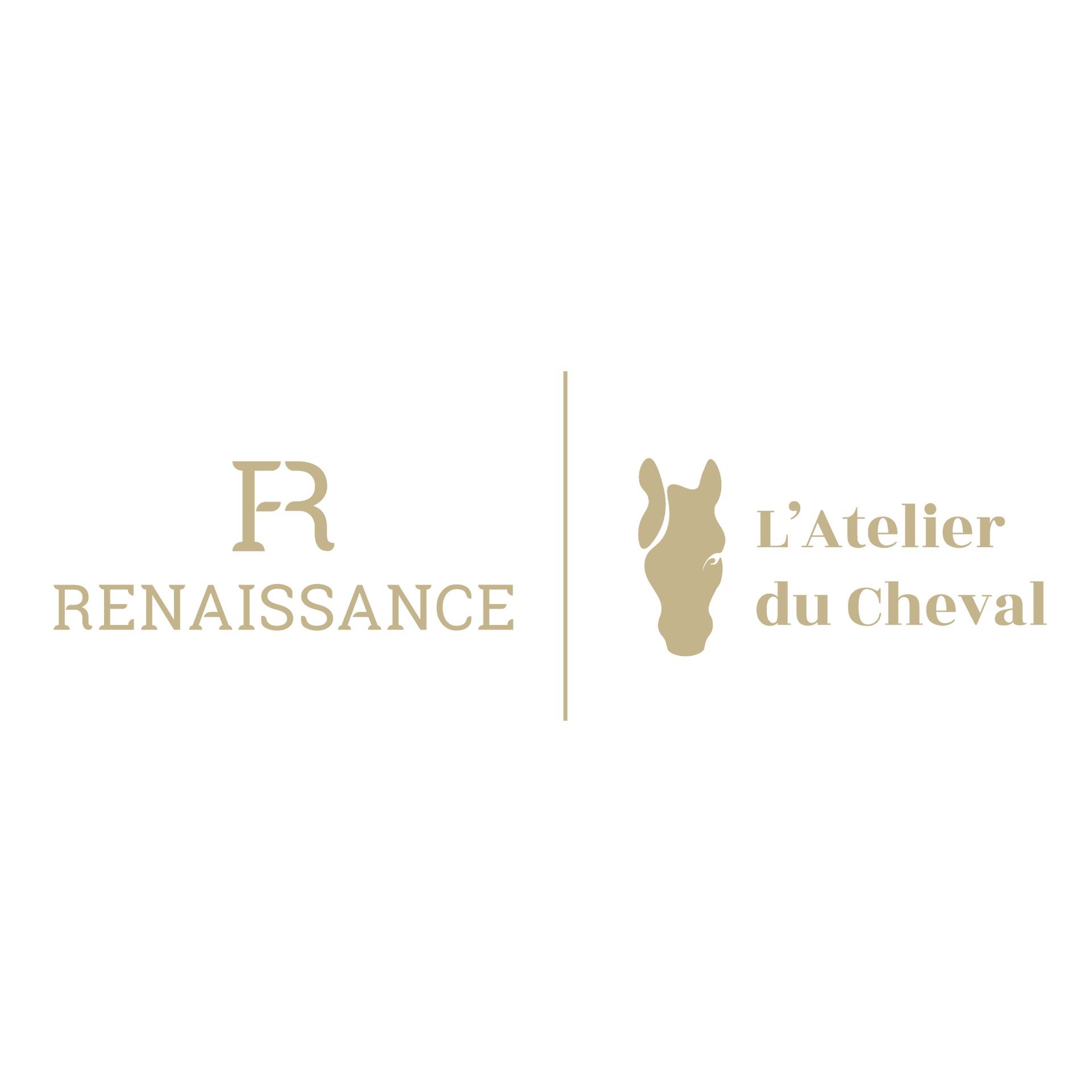 Bridon anglais Renaissance – Muserolle croisée – Image 3