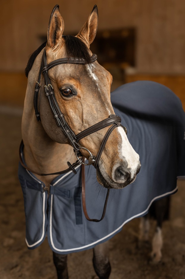 Bridon combiné « Flex » Brun – HFI – Image 3