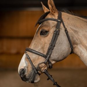 Bridon combiné « Flex » Brun – HFI