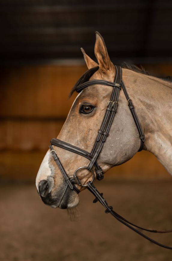 Bridon combiné « Flex » Brun – HFI – Image 2