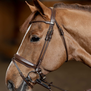 Bridon cuir rond et muserolle large – Round