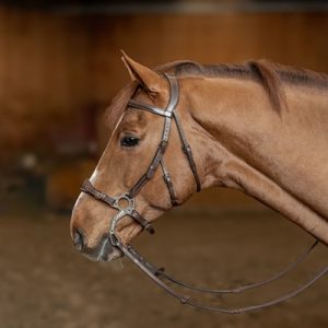 Bridon pour Hackamore – HFI
