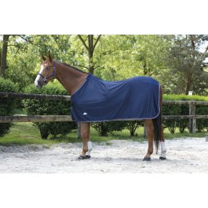 Chemise EQUITHÈME – Microfleece – Standard