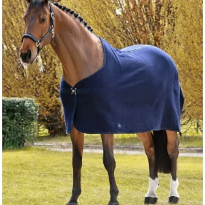 Chemise en laine Wool – Equiline