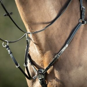 Collier de chasse Longbridge Noir – 3 tailles