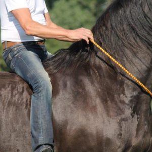 Cordelette d’encolure éthologique – F.R.A.® Anka Cordéo