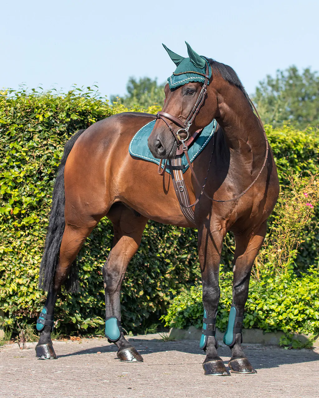 Ensemble guêtres & Protège boulets – QHP