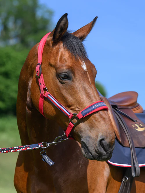 Ensemble licol et longe Tommy Hilfiger – Yale – Image 6