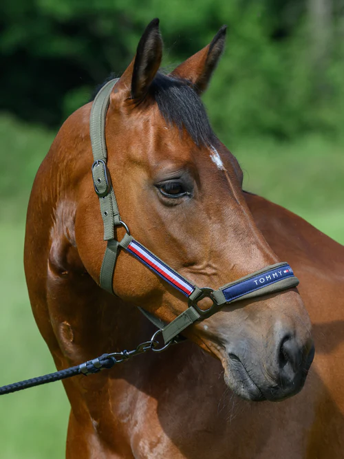 Ensemble licol et longe Tommy Hilfiger – Yale – Image 7