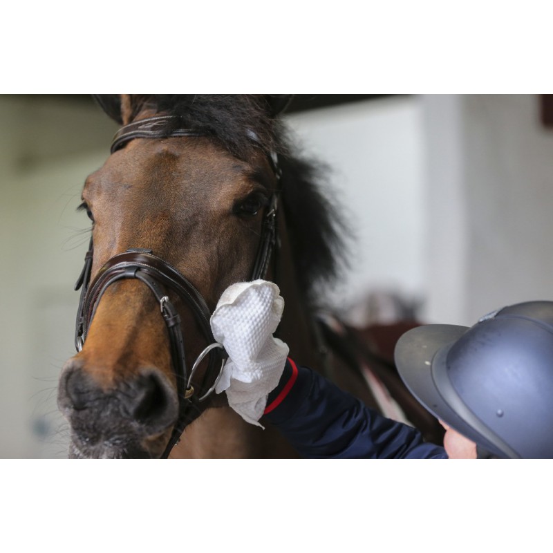 Gants de Nettoyage Belvoir® Carr & Day & Martin – Image 7