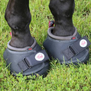 Hipposandale Cavallo – TREK – Regular