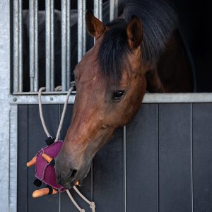 Jouet de boxe pour cheval – Balle