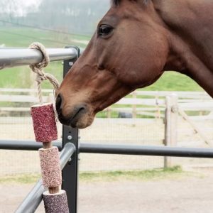 Jouet en bois relaxant pour chevaux – Kentucky – Unicorn