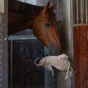 Jouet pour chevaux à suspendre – Cheval