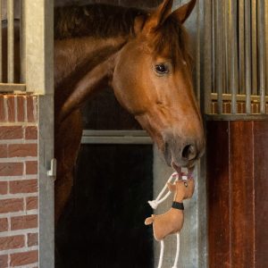 Jouet pour chevaux à suspendre – Rudolph