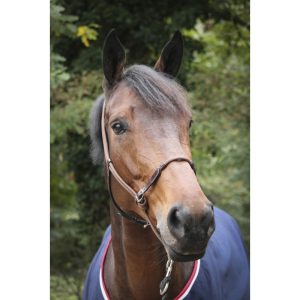 Licol Éthologique PÉNÉLOPE