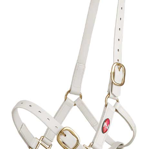 Licol Synthétique PN 25mm Zilco (Laiton)