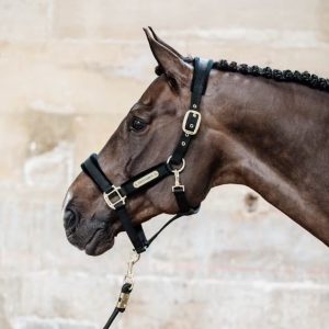 Licol Kentucky Velvet – Le licol chic et ultra-confort pour votre cheval