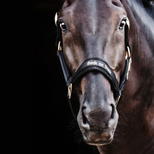 Licol Werano – Back on Track®