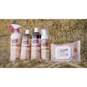 Lingettes nettoyantes Easy Shine Wipe Ravene