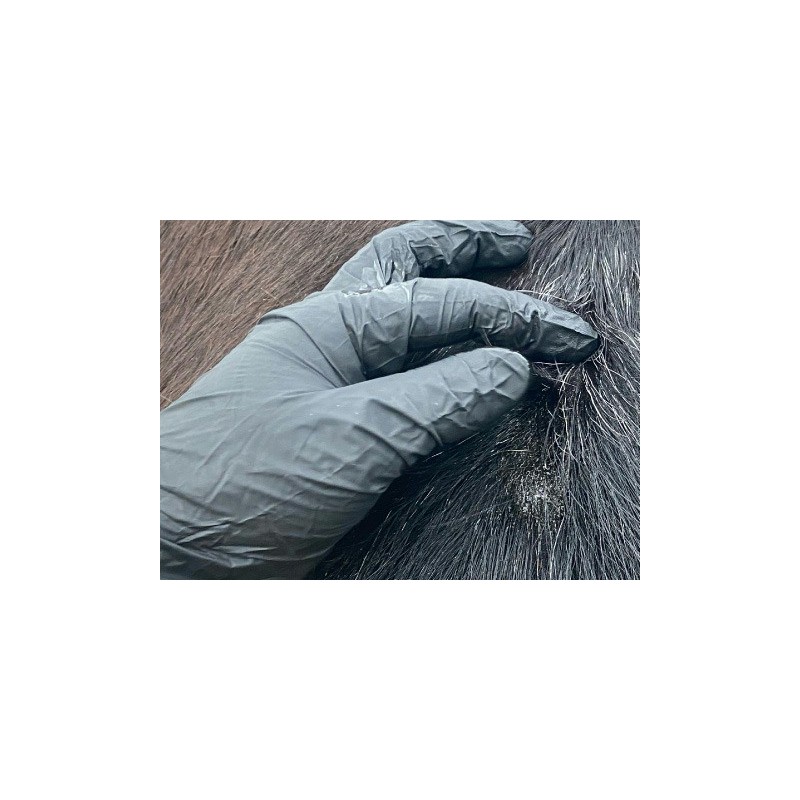 Lotion Animaderm – Derfen™ Original – Image 5