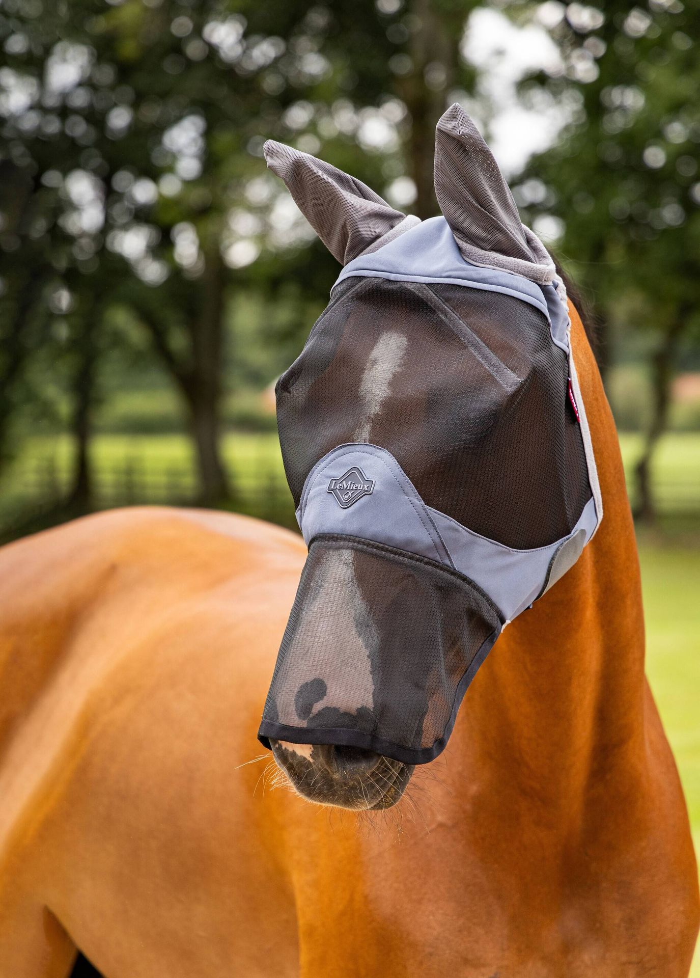 Masque anti-mouches Visor-Tek Complet – Lemieux