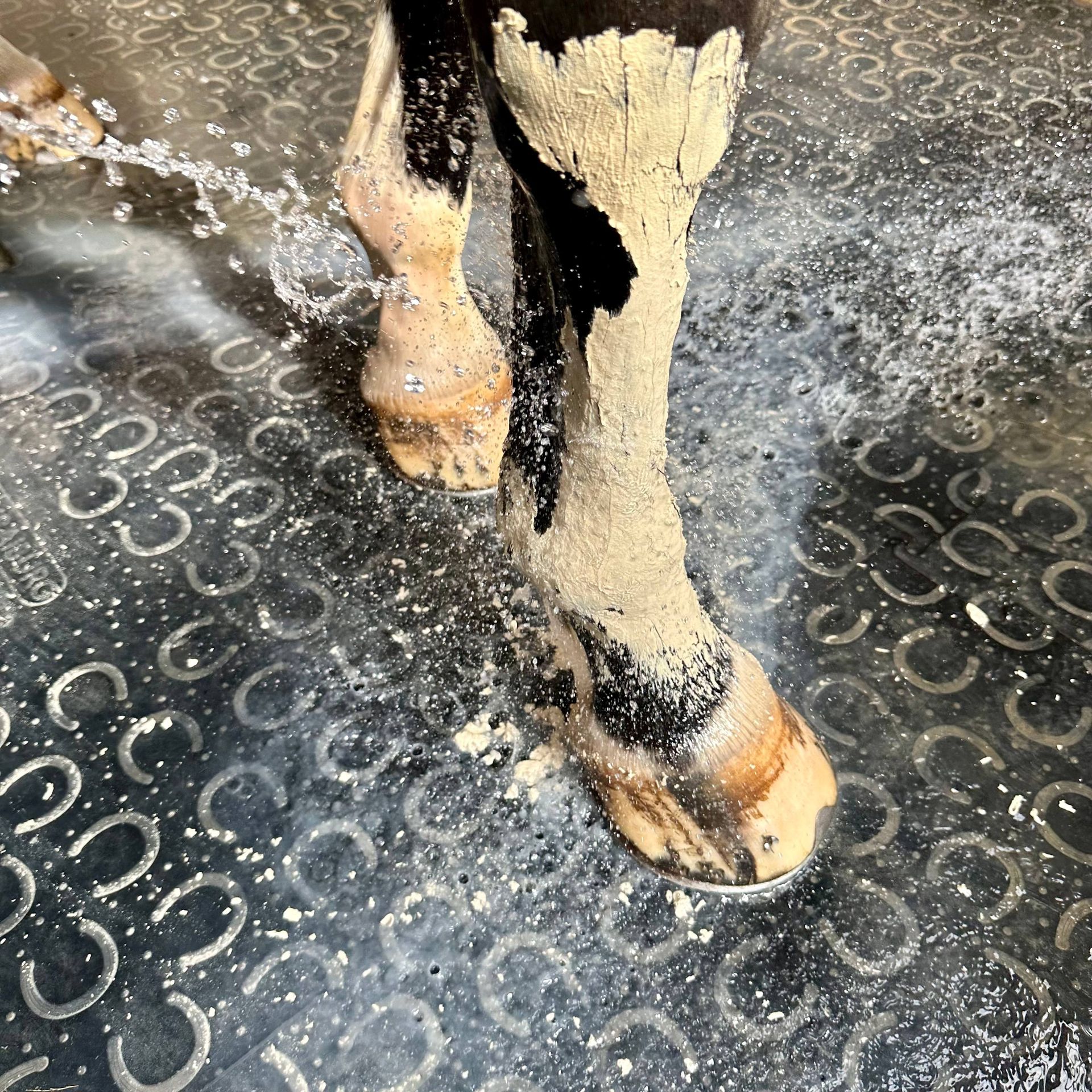 Pâte d’argile detox – Relaxante – Nutragile – Image 5