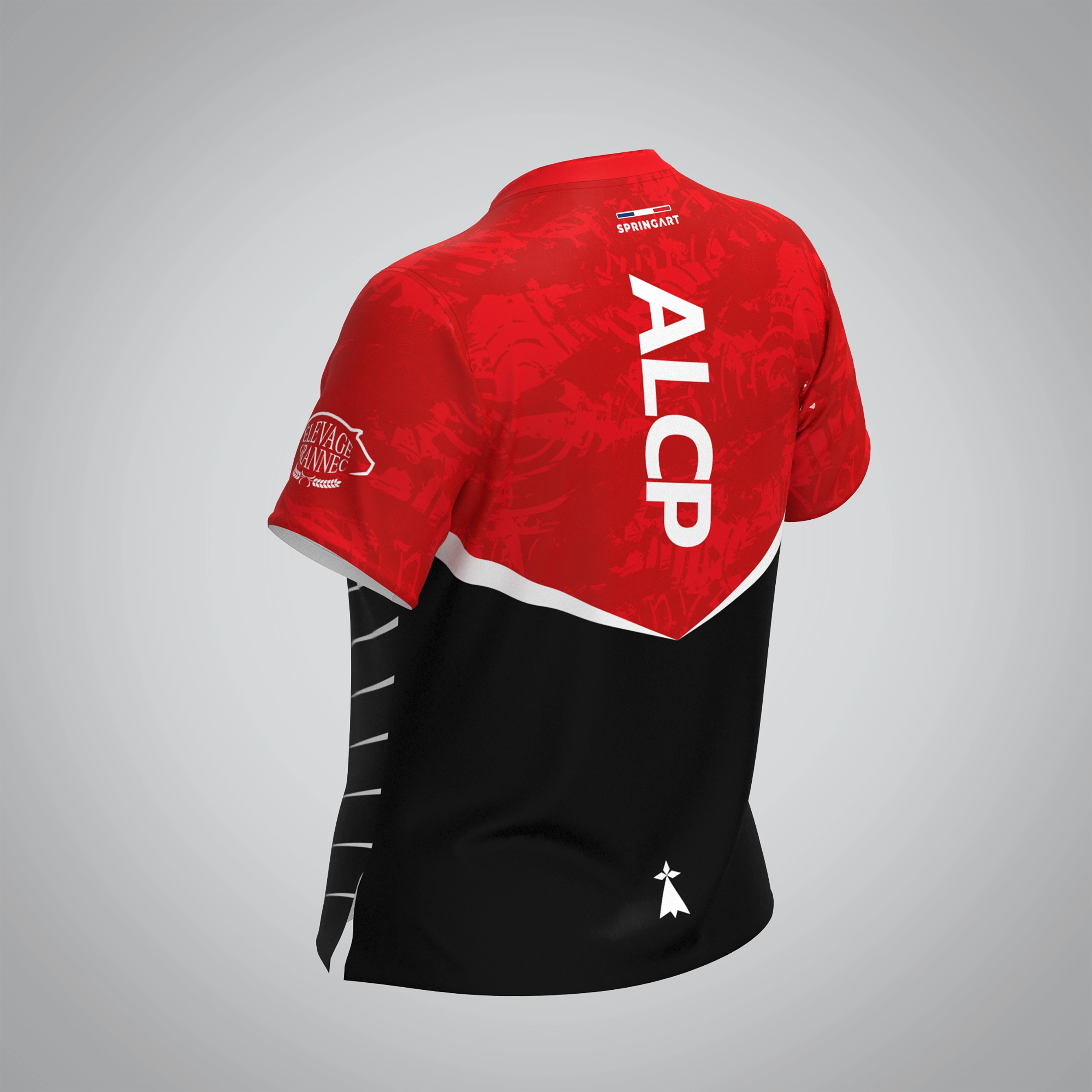 T-shirt Manches Courtes Femme ALCP Carhaix – Image 5