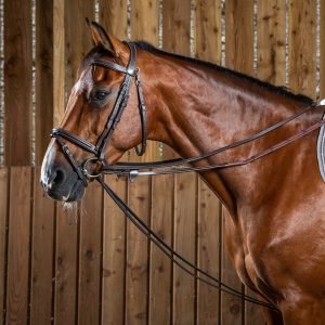 Rênes Allemandes tout cuir / Dyon