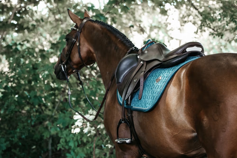 Tapis de selle Velvet Jumping – Kentucky