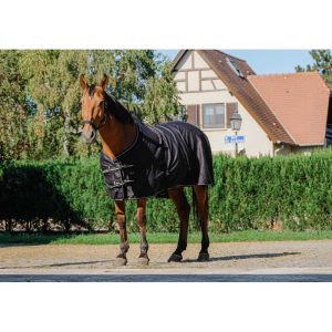 ✨ Chemise brillante RIDING WORLD – Chemise cheval légère et respirante toute saison