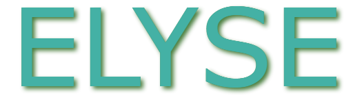 Accessoires & essentiels : ceintures, bonnets, gants et basiques