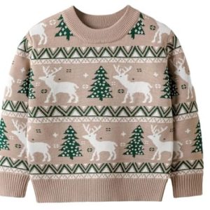 Folie Tropicale – Pull de Noël Flamants Roses – Pull de Noël pour Homme