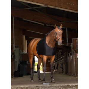 Protection d&rsquo;épaules EQUITHÈME